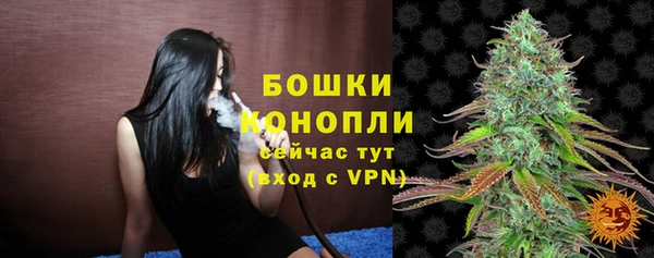 apvp Арсеньев