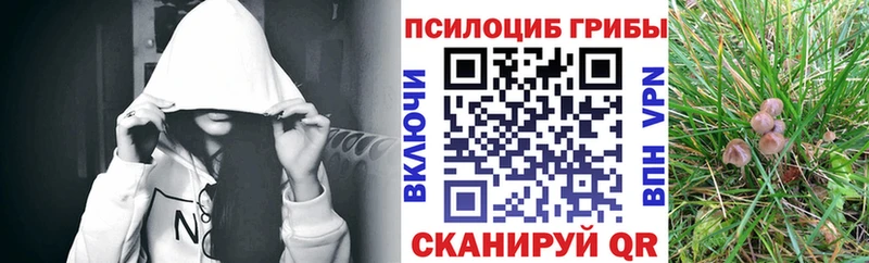 Галлюциногенные грибы Cubensis  наркошоп  Баймак 